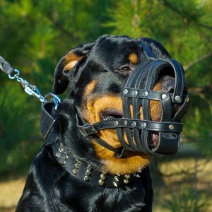 Намордник-корзинка из кожи для ротвейлера «Maximum safety»